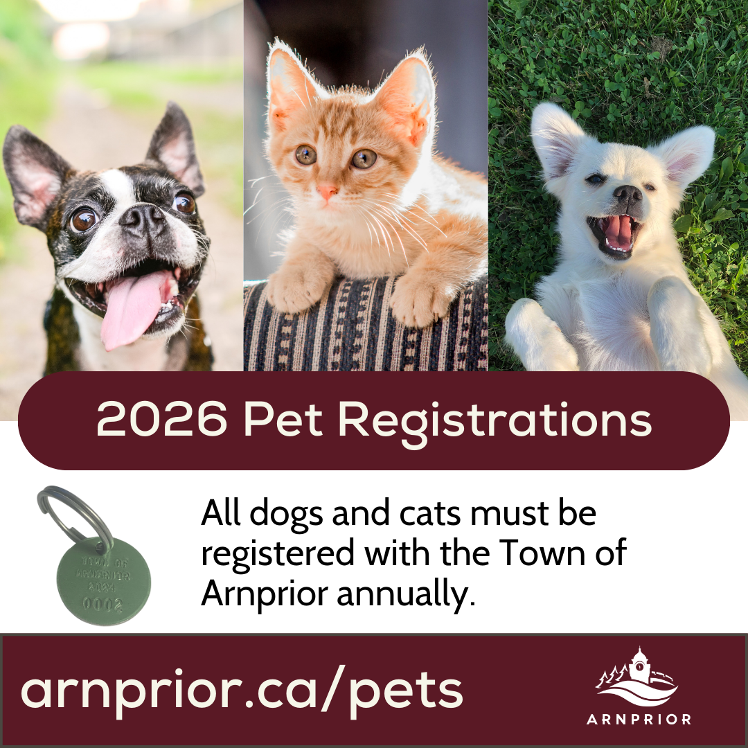 Image of pets with text indicating that 2026 pet registration is open