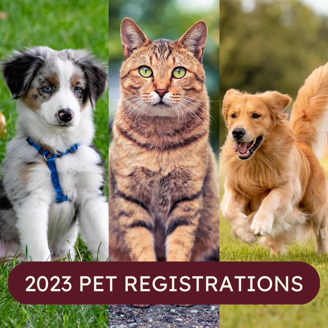 2023 Pet Registration graphic showing two dogs and one cat 