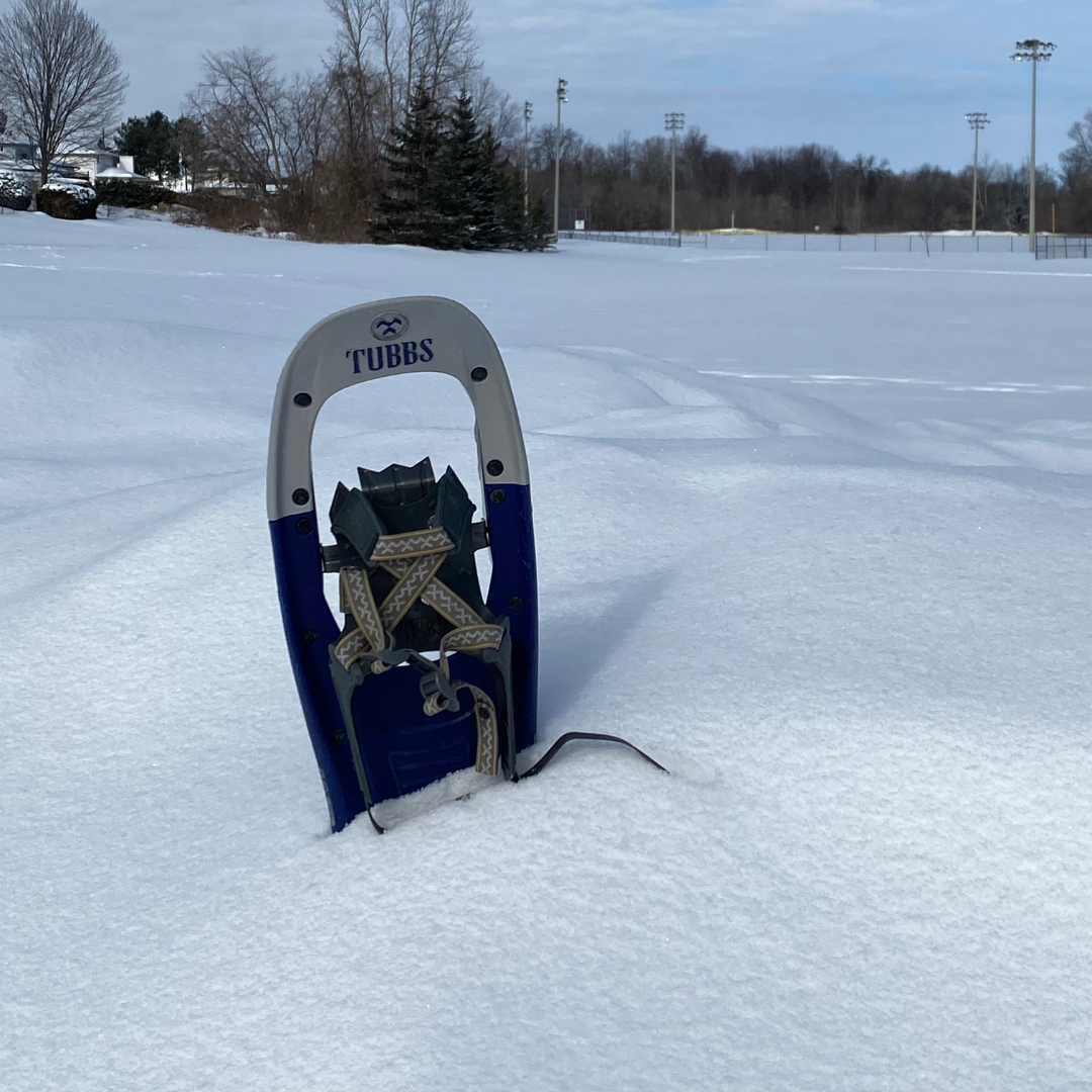 Snow Shoe at McLean Park