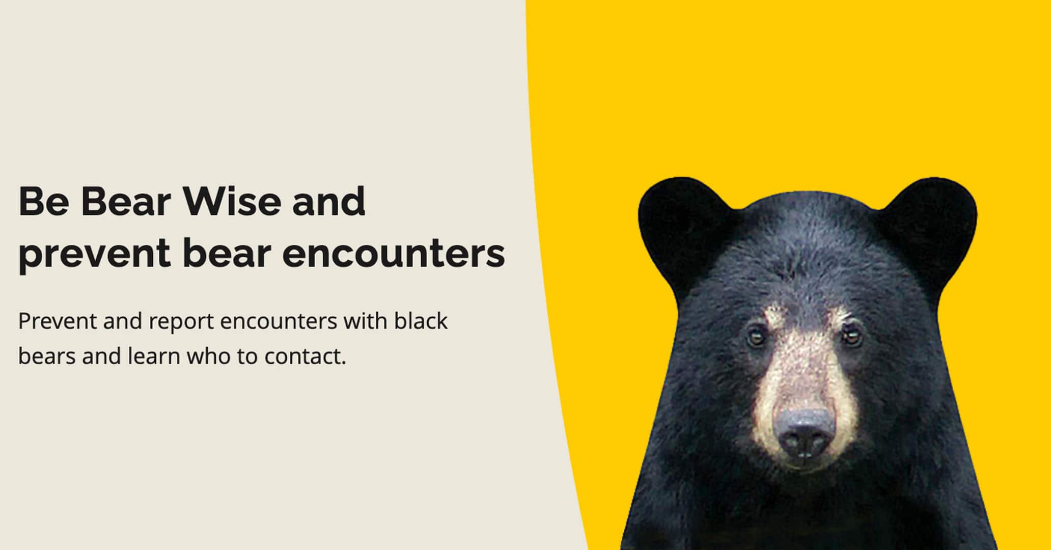 Be Bear Wise Graphic from the Government of Ontario