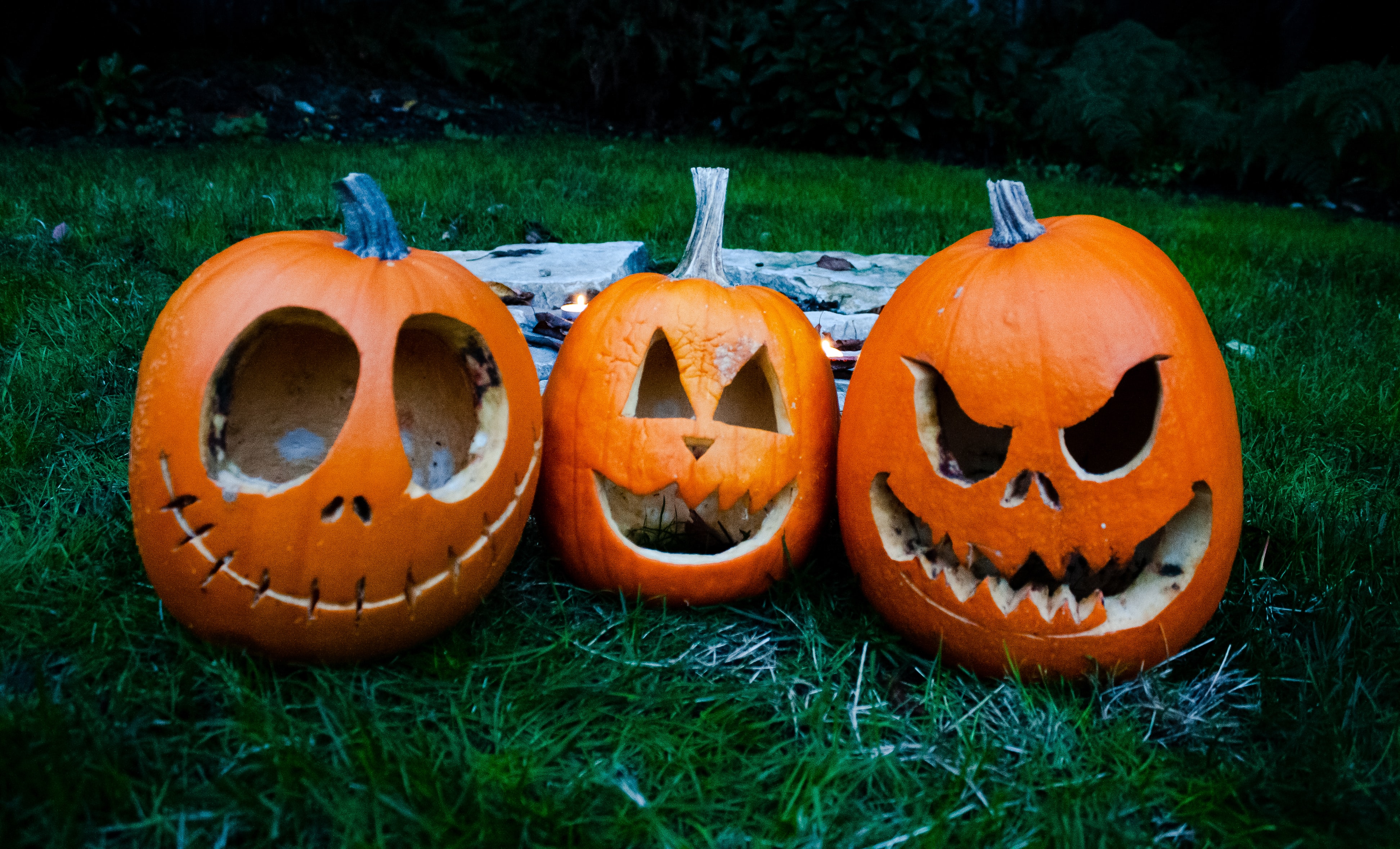 carved pumpkins