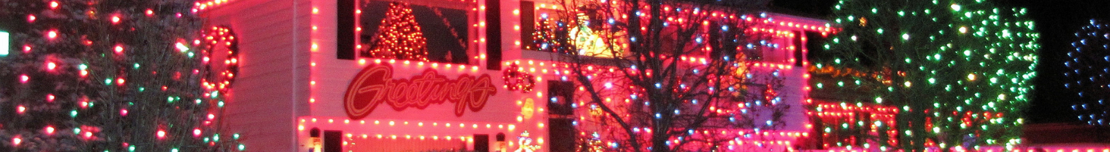 House and trees strung with bright Christmas lights