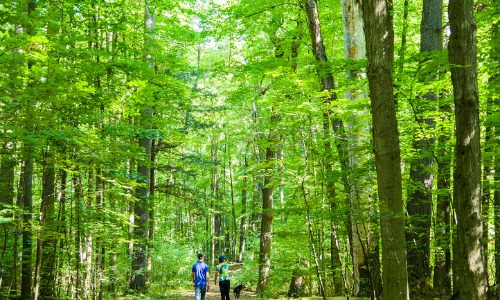 Couple walking through the Grove