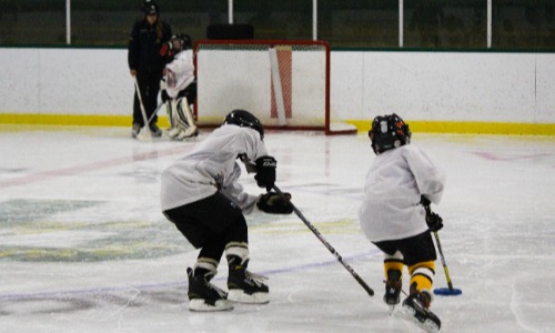 Kids playing hockey