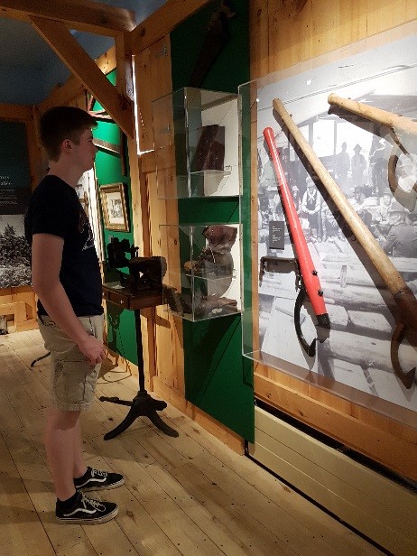 Timber exhibit at the Museum