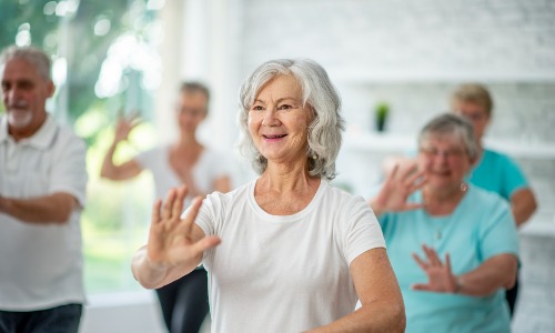 Seniors doing a fitness class