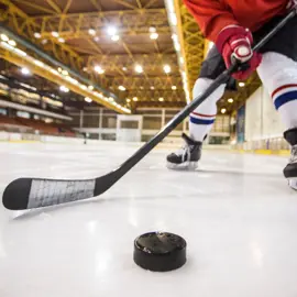 Hockey stick and puck 