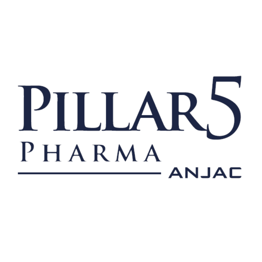 Pillar 5